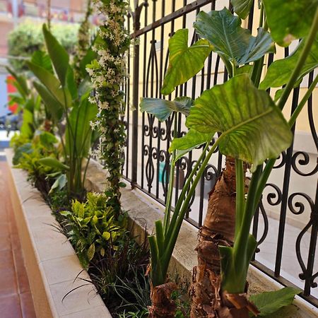 Suebi Rooms Termoli Ngoại thất bức ảnh