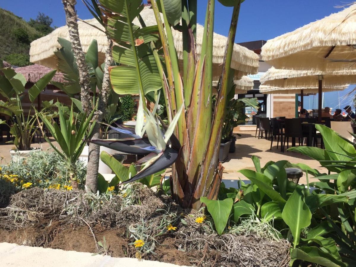 Suebi Rooms Termoli Ngoại thất bức ảnh