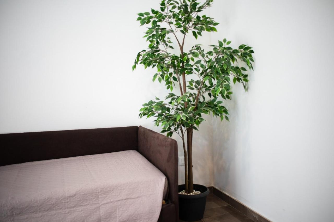 Suebi Rooms Termoli Ngoại thất bức ảnh