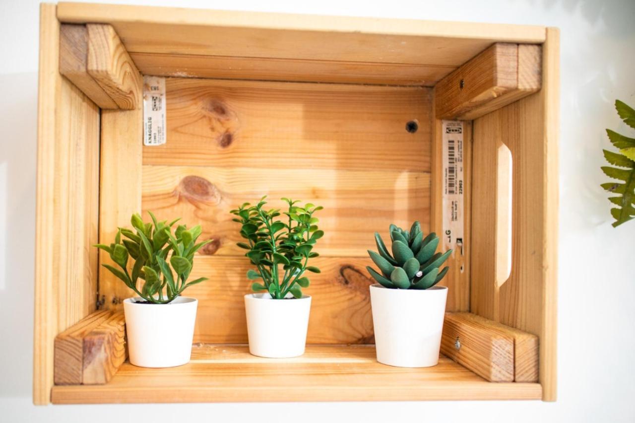 Suebi Rooms Termoli Ngoại thất bức ảnh