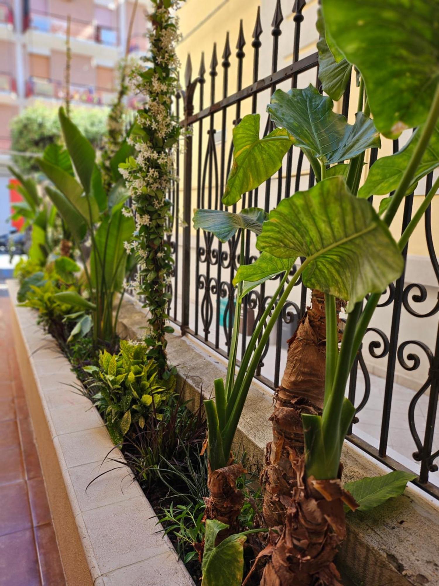 Suebi Rooms Termoli Ngoại thất bức ảnh